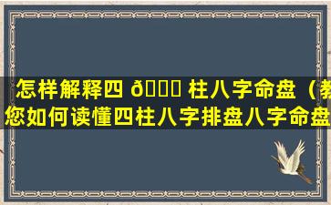 怎样解释四 🐅 柱八字命盘（教您如何读懂四柱八字排盘八字命盘 🦅 解读）